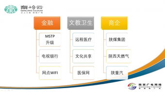 陜西廣電網(wǎng)絡(luò)集客業(yè)務(wù)百花齊放 專(zhuān)網(wǎng)專(zhuān)線、信息化集成與電視門(mén)戶(hù)的創(chuàng)新發(fā)展